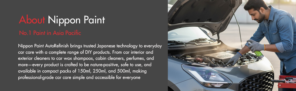 Nippon Paint n-Shield Throttle Valve Cleaner Spray 150ml | Removes Carbon Deposits, Improves Engine Performance & Smooth Idling