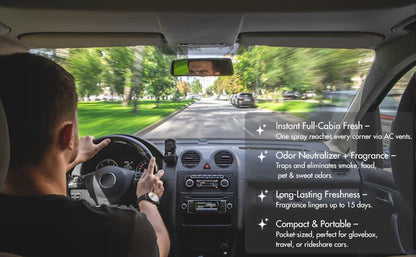 Nippon Paint n-Shield Breeze+ Car Air Freshener Spray 150ml | One Spray Odour Control, Long Lasting Freshness | No. 1 Paint In Asia Pacific